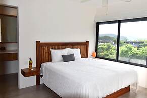 Agaves 203