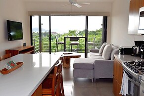 Agaves 203
