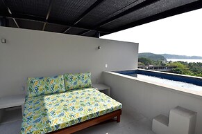 Agaves 203