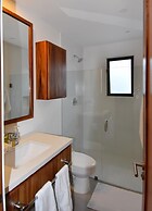 Agaves 203