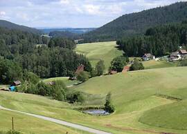Charming Apartment, Harz Region