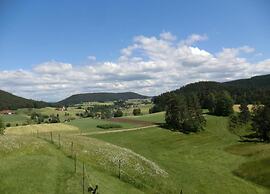 Charming Apartment, Harz Region
