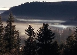 Charming Apartment, Harz Region