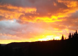 Charming Apartment, Harz Region