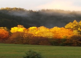 Charming Apartment, Harz Region