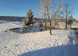 Charming Apartment, Harz Region