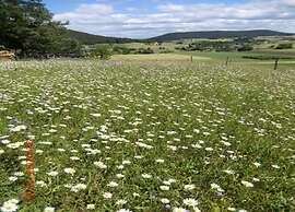 Charming Apartment, Harz Region