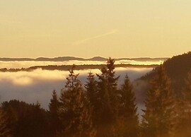 Charming Apartment, Harz Region