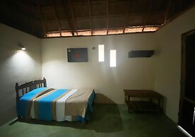 Mangrove King Fishing Lodge