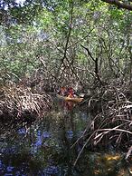 Mangrove King Fishing Lodge