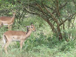 Kruger Maroela Lodge
