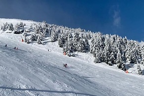 Cozy Apartment in Sankt Margarethen im Lungau near Ski Lift