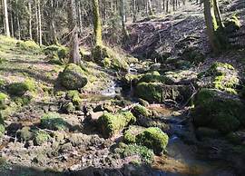 Feriendorf Reinskopf in der Eifel