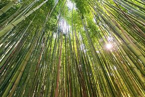 Hotel Terme di Stigliano