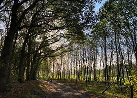 Modern Chalet With Nice Sliding Doors Near Lochem