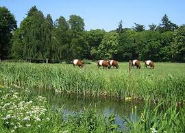 Modern Chalet With Nice Sliding Doors Near Lochem
