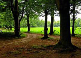 Modern Chalet With Nice Sliding Doors Near Lochem