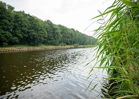 Modern Chalet With Nice Sliding Doors Near Lochem