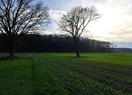 Modern Chalet With Nice Sliding Doors Near Lochem