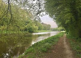 Modern Chalet With Nice Sliding Doors Near Lochem