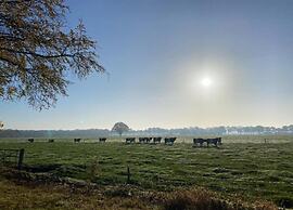 Modern Chalet With Nice Sliding Doors Near Lochem