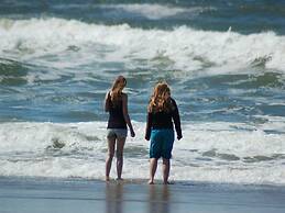 Traditional Villa With two Bathrooms on Texel Near the Sea