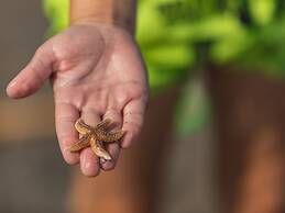 Well Furnished Villa With Garden Near the Beach