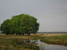Atmospheric Bungalow Near the Veluwe