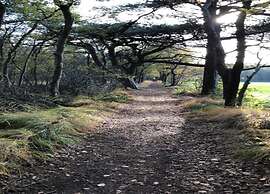 Modern Chalet Near Lake Sneek