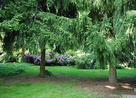 Bungalow in Netherlands With Garden Terrace