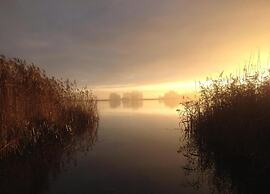 Giethoorn Villa With Modern Touch