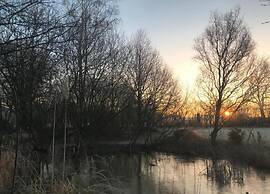 Chic Forest Lodge With Sauna