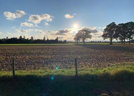 Chic Forest Lodge With Sauna