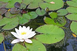 Chic Forest Lodge With Sauna