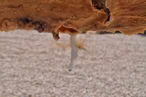 Casa rural El Salero en Moratalla