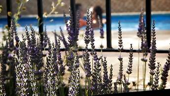 Casa rural El Salero en Moratalla