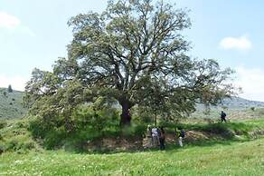 Casa rural El Salero en Moratalla