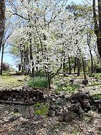 Cherokee mountain log cabin resort