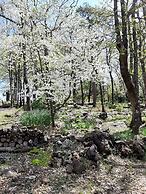 Cherokee mountain log cabin resort
