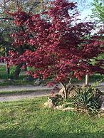 Cherokee mountain log cabin resort