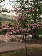 Cherokee mountain log cabin resort