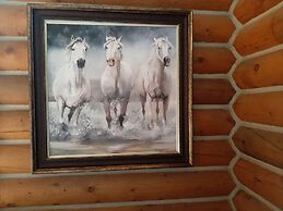 Cherokee mountain log cabin resort