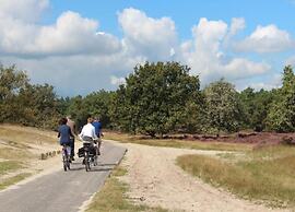 Chalet Near Loonse and Drunense Duinen