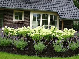 Beautiful House With Whirlpool