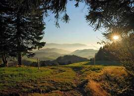 Apartment With Garden in the Forest
