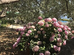 House With Pool in Split Near the Beach