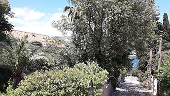 Room-the Most Beautiful Position in Zato