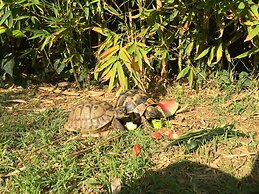 No5 Penthouse 2 Bedroom Apartment