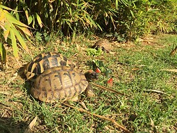 No5 Penthouse 2 Bedroom Apartment