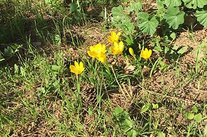 No5 Penthouse 2 Bedroom Apartment